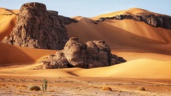 Rocks buried in the sand. Algerian part of the Sahara.