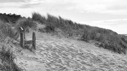on the beach of the Baltic Sea a beach crossing over the dunes in black and white. Walking on the beach on the Darß in Zingst