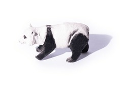 Panda toy Bear Rubber isolated on white background