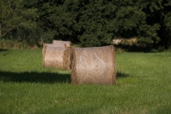 Hay and straw bales on a green meadow - agricultural landscape after hay-cuts
