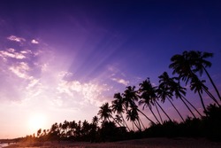 Beautiful life, sunset landscape on the tropical beach