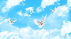 sunny sky and flying white doves. 3d ceiling decoration image. sky bottom up view
