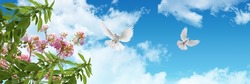 Green tree leaves, pink spring flowers and flying doves on sky. panoramic view of clear blue sky with white beautiful clouds. ceiling decoration image