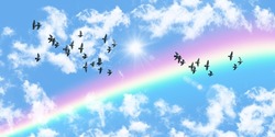 flock of birds flying in the blue sky. panoramic sky view. rainbow and sunbeams among the clouds. Can be used as ceiling decoration and background