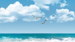 Seagulls flying in tropical colorful blue sky, turquoise color sea and fluffy clouds. beautiful ocean view