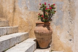 Large vintage clay vase on the stairs next to wall in mediterranean old town with Crown of thorns red flowers ( Euphorbia milii ) also know Christ plant.  