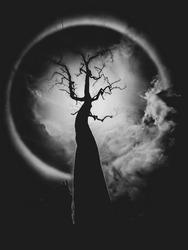 halloween horror tree top of view black and white background
