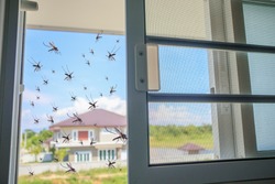 Many mosquitoes flying in to the house while insect net was opened