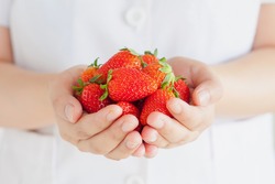 female hands holding handful of strawberries close up