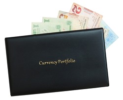 Currency Album for Coins and Banknote Money Collection