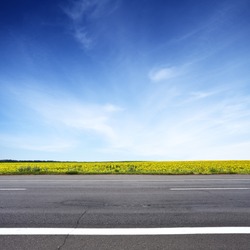 Road and sun flowers field with blue sky above. Summer landscape