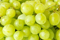 green grape closeup