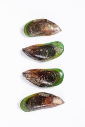 Asian Green Mussels in high res. image 