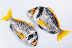Faskar fish in high res. image