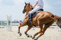 Red sports horse moving at a gallop on the outdoor equestrian show jumping competitions at the summer