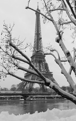 Paris, France : Black and white Eiffel tower from a garden with bare trees in winter.