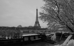 Paris, France : Black and white Eiffel tower with bare trees in winter.