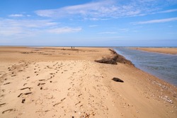 Low tide coastal landscape scene                            