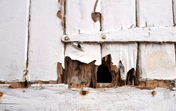 Old rotting wooden door example                              