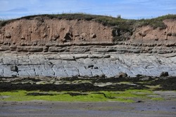 Multiple layers of geological strata on cliff face on north of Annstead Beach between Seahouses and Beadnell, Northumberland, England