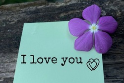 The phrase ' I love You' is isolated on a note. Wooden surface. A purple flower is nearby. Hand-written note concept. Selective focus.
