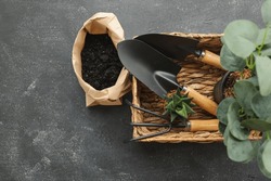 gardening tools on dark wooden background with space for text top view