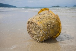 an ocean garbage  plastic basket was left on the beach, and it had been lifted long enough to be coated in shells