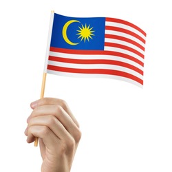 Hand holding flag of Malaysia, isolated on white background