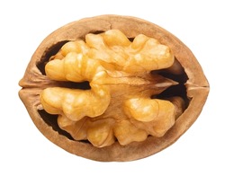 Half of walnut, isolated on white background
