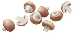 Flying champignon mushrooms, isolated on white background