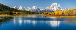 Panoramic view of Mount Moran from Oxbow Bend beside Snake River of Grand Teton, Wyoming. Color of trees and bushes changing due to autumn change to winter.