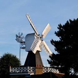 Windmill on Wimbledon Common with trees