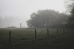 electric cattle fence with columns and wire bordering pasture from people gardens. Misty spring morning, fog over the meadow and river. Silhouette of bushes in distance. Grey hazy background