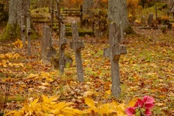 row of concrete cement christian crosses in Latvia cemetery. Ground covered with yellow and orange autumn leaves
