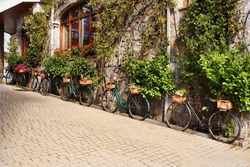 Bicycles decorated with plants at the Presa de Riaño hotel.