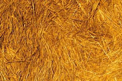 Beautiful background close-up of cut straw and ears pressed into a sheaf, summer evening in golden sunlight, macro, grain harvest, hay season, hay season, valuable agricultural crops