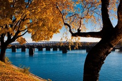 Autumn trees along the Susquehanna River in Harrisburg, PA