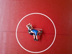 Youth wrestlers competing in the mat. View from above.
