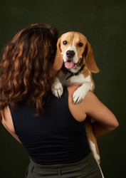 Beautiful Beagle dog portrait on dark background with copy space, close-up. The beagle is a breed of small hound dog. Pet training. World Animal Day