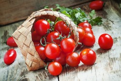 Small red cherry tomatoes spill out of a wicker basket on an old wooden table in rustic style, selective focus