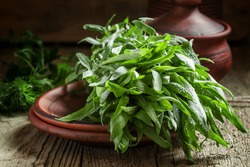 Fresh green tarragon in a beam in an earthenware pot on the old wooden background in rustic style, selective focus