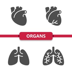 Internal Organs Icons. Professional, pixel perfect icons. EPS 10 format.
