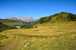 The Laghi di Festons alpine meadow on Sella Festons near Sauris di Sopra, Udine Province, Friuli-Venezia Giulia, north east Italy. Used as a summer pasture for dairy cows