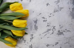 Yellow tulips. Place for text. Flowers on a concrete background. March spring bouquet.
Women's Day. Netherlands symbol. Separation color. copyspace. Postcard, congratulation, card