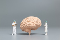 Miniature people doctor and nurse observing and discussing about human brain, Science and Medical Concep