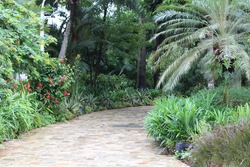 a path in the beautiful green botanical garden