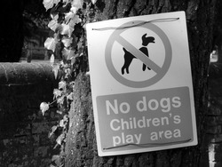 Monochrome no dogs childrens play area warning sign mounted on tree trunk