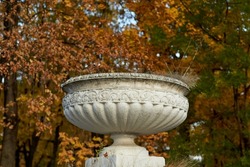 a large white bowl in the park against the backdrop of autumn trees. trees with yellow leaves