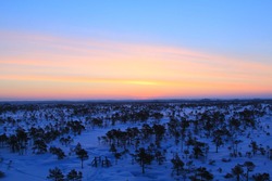 Beautiful winter sunrise in the swamp