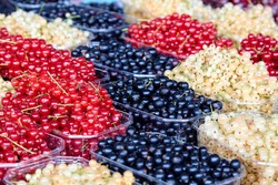 Seasonable black, white and red currant on a country market. High quality photo. Selective focus